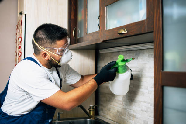 Best Wasp Removal Services  in Warrior, AL