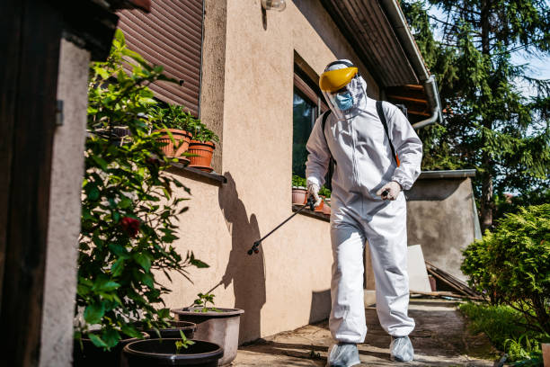 Best Flea Control Services  in Warrior, AL