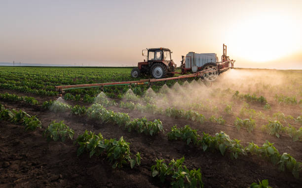 Best Mosquito Control Services  in Warrior, AL