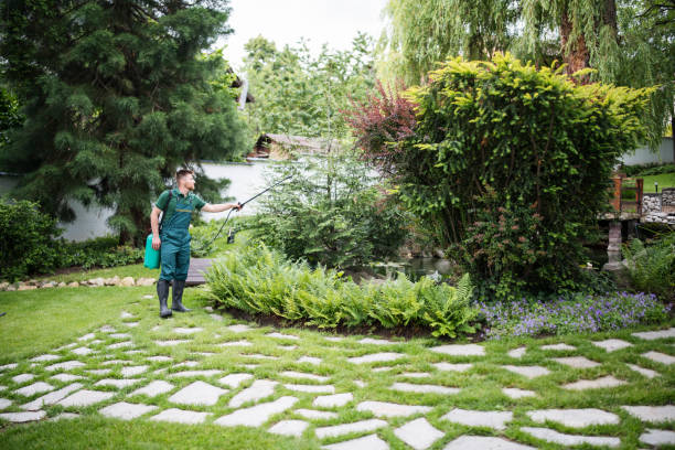 Best Pest Removal Services  in Warrior, AL