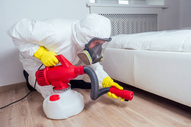 Best Best Pest Control Companies  in Warrior, AL