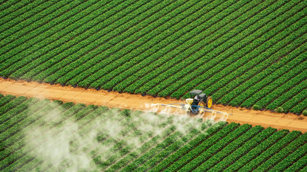 Best Pest Removal Services  in Warrior, AL