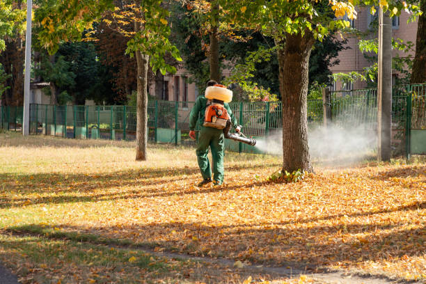 Pest Control for Restaurants in Warrior, AL