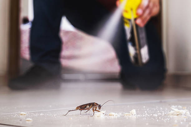 Best Exterminator Services  in Warrior, AL