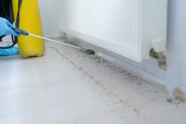 Trusted Warrior, AL Pest Control Experts